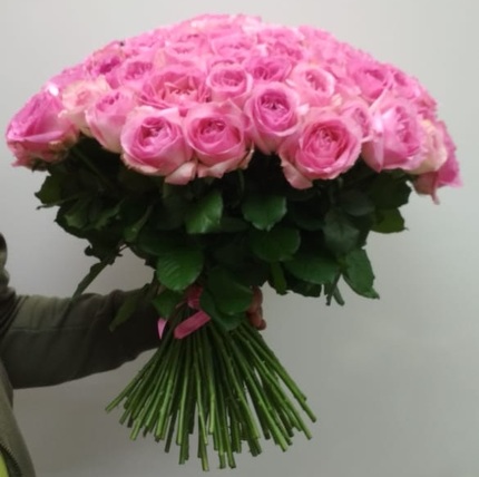 101 розовая роза 60 см (Эквадор)