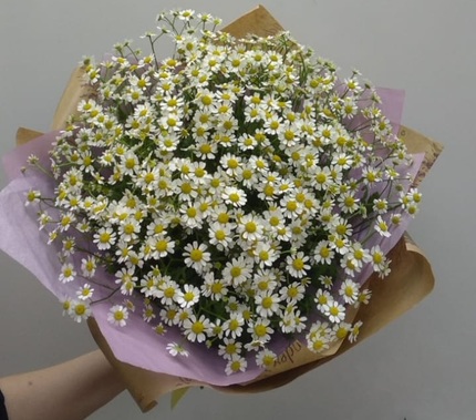 Букет 25 кустовых ромашек