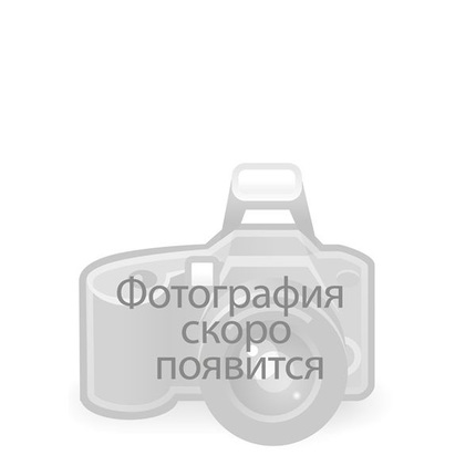 Букет "101 кустовая роза" 80 см (России)