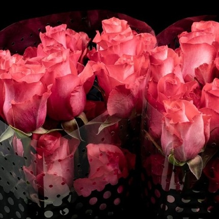 Роза Пинк Лав (Pink Love)